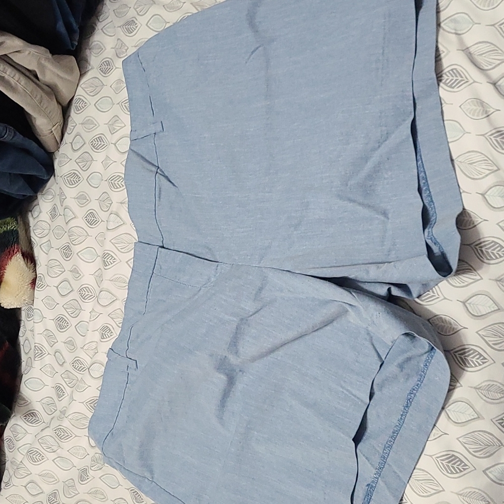 Lane bryant shorts
